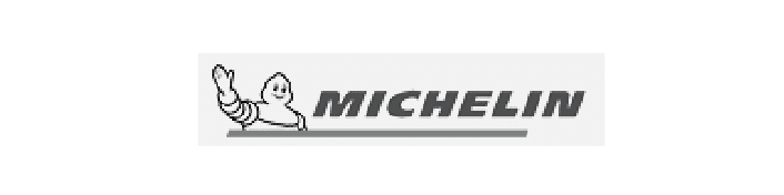 Michelin tires